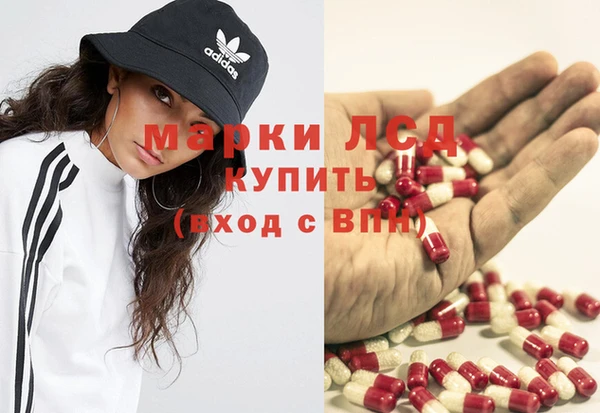 СК Белокуриха