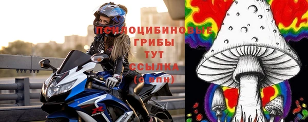 стафф Беломорск