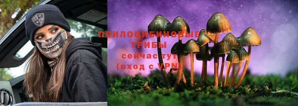 СК Белокуриха