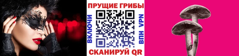 Галлюциногенные грибы Psilocybe  Купить  Кунгур 